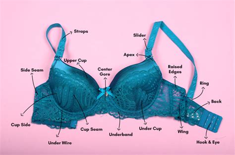 bra parts name|what is under a bra.